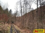 Letovice, lesní pozemky, 12 020 m2 pozemek, cena 529130 CZK / objekt, nabízí 