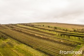 Prodej sady a vinice, 3 587 m2 - Blatnice pod Svatým Antonínkem, cena 319000 CZK / objekt, nabízí 